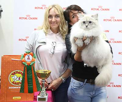 �������� ����� 26-27 ������� 4-66-169A8599.jpg