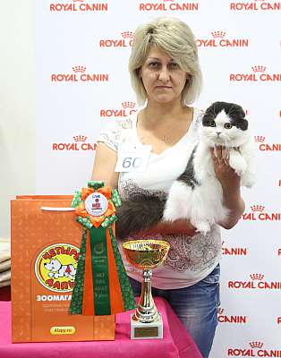 �������� ����� 26-27 ������� 5-60-169A8588.jpg