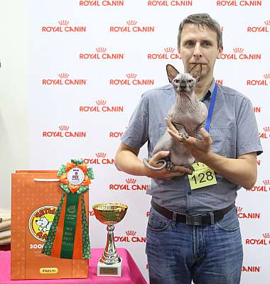 �������� ����� 26-27 ������� 8-128-169A8574.jpg