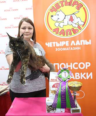 �������� ����� 26-27 ������� 3-30-169A9700.jpg