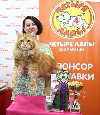 �������� ����� 26-27 ������� 7-21-169A9752.jpg