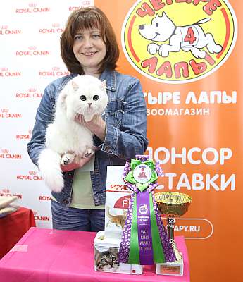 �������� ����� 26-27 ������� 9-102-169A9728.jpg