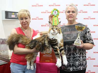 �������� ����� 26-27 ������� 1-194-169A8128.jpg