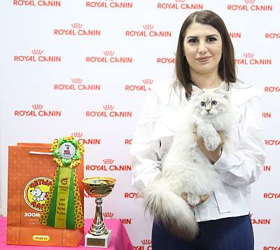 �������� ����� 26-27 ������� 6-185-169A8089.jpg