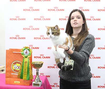 �������� ����� 26-27 ������� 8-158-169A8071.jpg