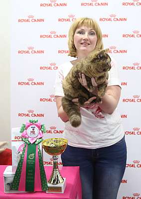 �������� ����� 26-27 ������� 10-95-169A0101 (3).jpg