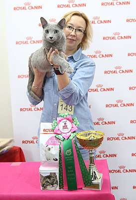 �������� ����� 26-27 ������� 2-143-169A0158.jpg