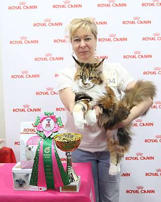 �������� ����� 26-27 ������� 3-194-169A0141 (3).jpg