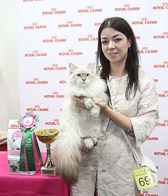 �������� ����� 26-27 ������� 9-69-169A0105 (3).jpg