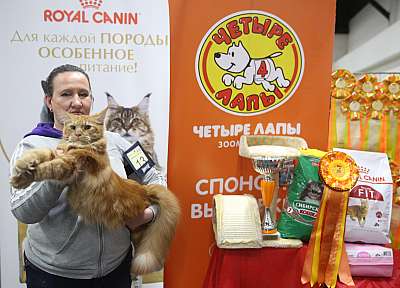 �������� ����� 21-22 ������� 4-13-169A7538.jpg