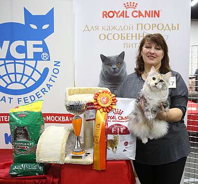 �������� ����� 21-22 ������� 1-167-169A9110.jpg