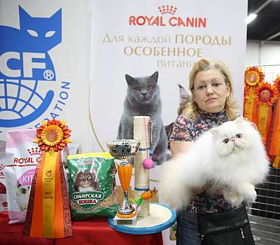 �������� ����� 21-22 ������� 11-166-169A9034.jpg