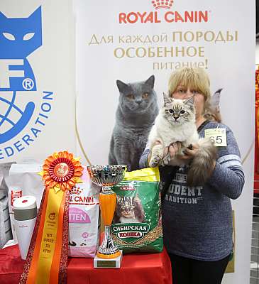 �������� ����� 21-22 ������� 12-65-169A9037.jpg