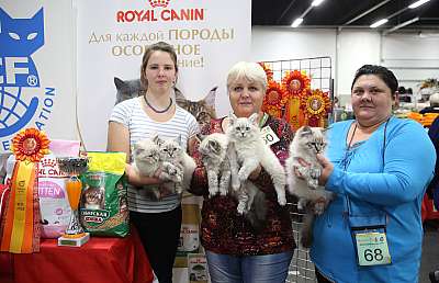 �������� ����� 21-22 ������� 13-60-169A9030.jpg