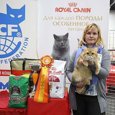 �������� ����� 21-22 ������� 3-96-169A9115.jpg