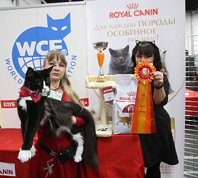 �������� ����� 21-22 ������� 4-37-169A9103.jpg