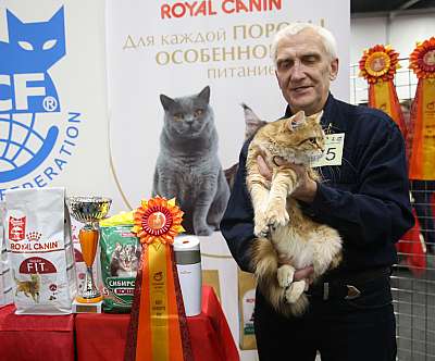 �������� ����� 21-22 ������� 5-75-169A9061.jpg