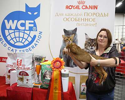 �������� ����� 21-22 ������� 6-105-169A9078.jpg