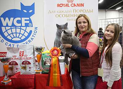 �������� ����� 21-22 ������� 7-84-169A9071.jpg