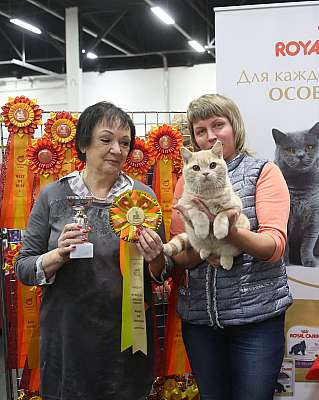 �������� ����� 21-22 ������� 1-200-169A7774.jpg