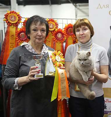 �������� ����� 21-22 ������� 2-89-169A7795.jpg