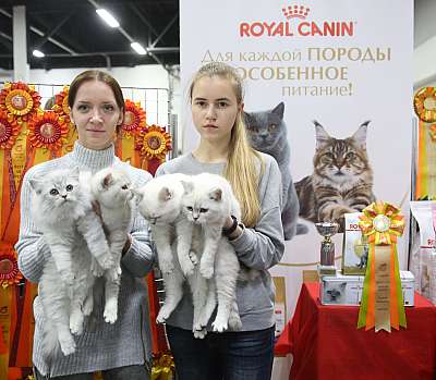 �������� ����� 21-22 ������� 8-80-169A7822.jpg