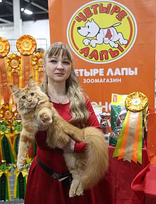 �������� ����� 21-22 ������� 1-163-169A6379.jpg