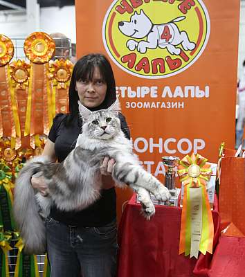 �������� ����� 21-22 ������� 2-47-169A6386.jpg