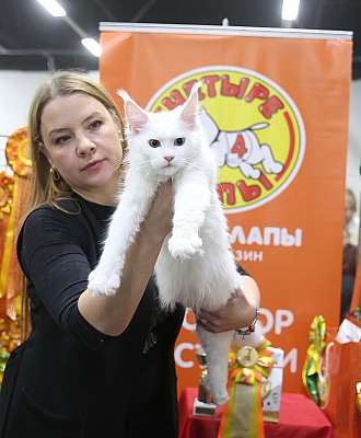 �������� ����� 21-22 ������� 7-196-169A6182.jpg