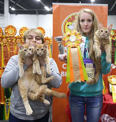 �������� ����� 21-22 ������� 8-2-169A6170.jpg