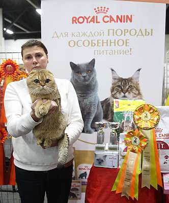 �������� ����� 21-22 ������� 1-141-169A8718.jpg