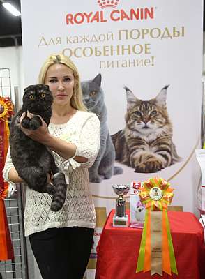 �������� ����� 21-22 ������� 3-138-169A8726.jpg