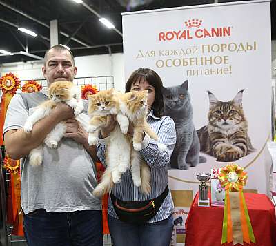 �������� ����� 21-22 ������� 6-58-169A8748.jpg