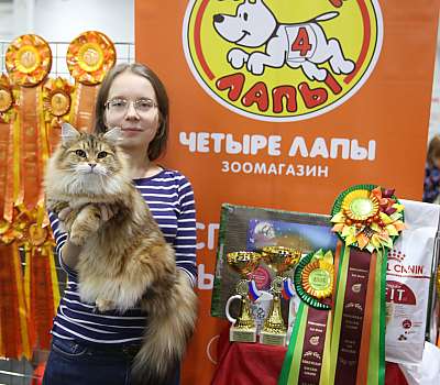 �������� ����� 21-22 ������� 1-169-169A7374.jpg