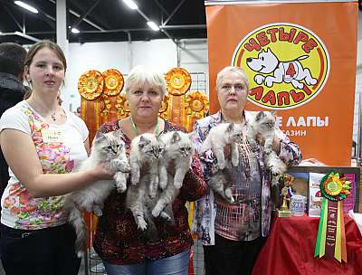 �������� ����� 21-22 ������� 7-60-169A7411.jpg