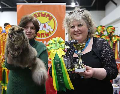 �������� ����� 21-22 ������� 7-54-169A6734.jpg