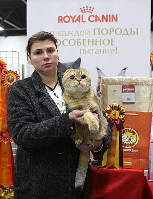 �������� ����� 21-22 ������� 4-141-169A8195.jpg