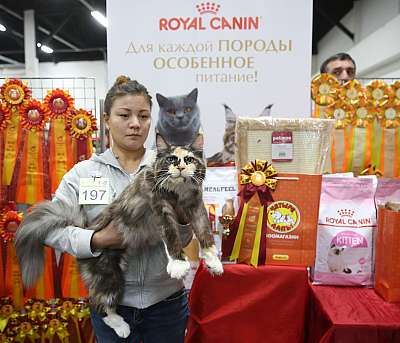 �������� ����� 21-22 ������� 6-197-169A8183.jpg