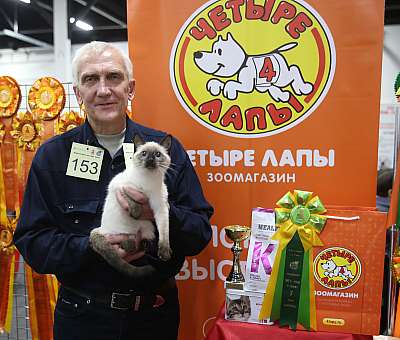 �������� ����� 21-22 ������� 7-153-169A7180.jpg