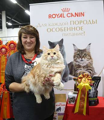 �������� ����� 21-22 ������� 3-204-169A8610.jpg