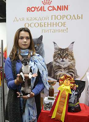 �������� ����� 21-22 ������� 6-122-169A8591.jpg