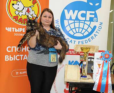 �������� ����� 2-3 �������  1-20-DSC_0090.jpg