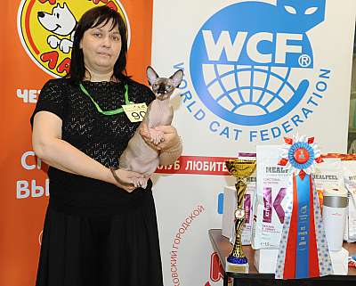 �������� ����� 2-3 ������� 10-90-DSC_0049.jpg