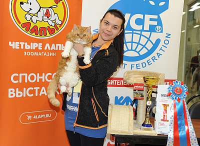 �������� ����� 2-3 �������  2-101-DSC_0085.jpg