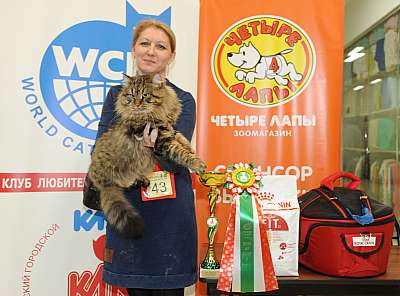 �������� ����� 2-3 ������� 1-43-DSC_0447.jpg