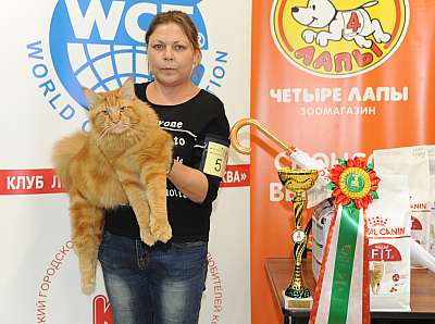 �������� ����� 2-3 ������� 6-5-DSC_0416.jpg