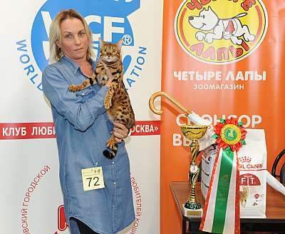 �������� ����� 2-3 ������� 8-72-DSC_0430.jpg