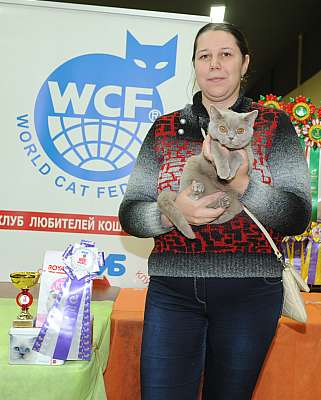 �������� ����� 2-3 ������� 3-81-DSC_0353.jpg