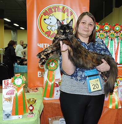 �������� ����� 2-3 ������� 3-20-DSC_9541.jpg