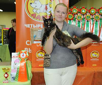 �������� ����� 2-3 ������� 6-17-DSC_9617.jpg